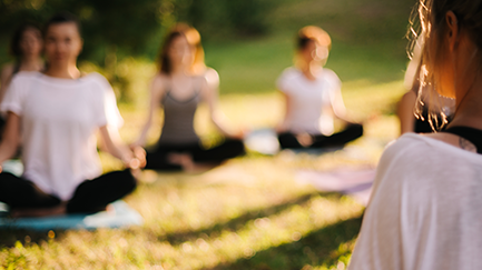 Group sitting outdoors practicing mindfulness through yoga. 